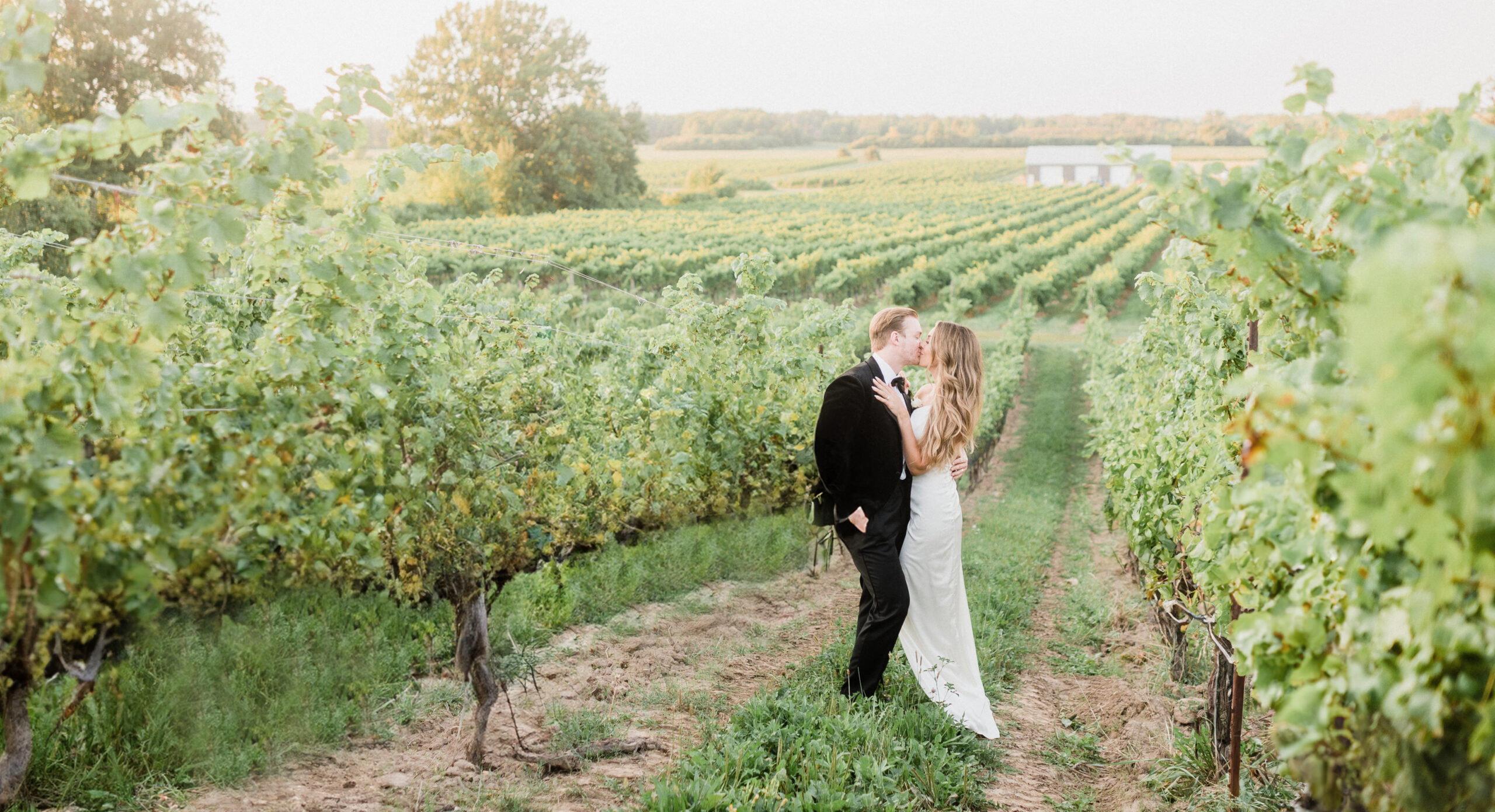 Ravine Vineyard Wedding Photos at Sunset | Jenn Kavanagh Photography